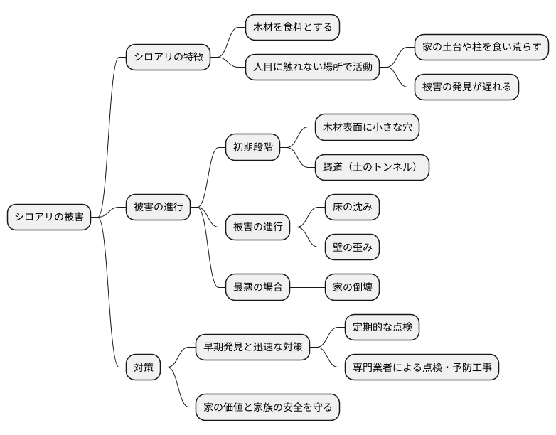 シロアリの脅威